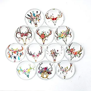 Deer Head Refrigerator Magnet Party Set of 12 Pack 3D Round Face For Silver Fridge Office Dry Erase Board Stainless Steel Door Freezer Whiteboard Cabinet Magnetic Great Fun for Adult Girl Boy Kid