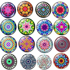 Fridge Magnets16 PCS Beautiful Glass Refrigerator Magnets Funny Fridge Stickers for Stainless Steel Refrigerator,Flower Magnet for Office, Calendar,Air conditioner,Whiteboard Magnets (16 pcs Flower)