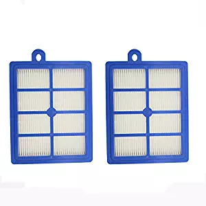 Ximoon 2 Pack Filter for Electrolux EL012W EL013W,Canister 6985 6988 6989 5010 & Eureka HEPA Filter, Part # H12 H13 HF12 HF1 60286A