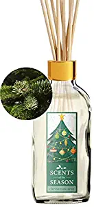 Scents of the Season Fraser Fir Christmas Tree Scented Reed Diffuser Set | Home Fragrance | Reed Diffuser Sticks and 4 oz Bottle | Hand Made in The USA