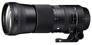 Sigma 745-306 150-600mm f/5-6.3 DG OS HSM Contemporary Lens for Nikon F - International Version (No Warranty)