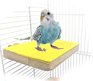 Colorful Bird Perch Stand Platform Natural Wood Playground Paw Grinding Clean for Pet Parrot Budgies Parakeet Cockatiels Conure Lovebirds Rat Mouse Cage Accessories Exercise Toys (Side)