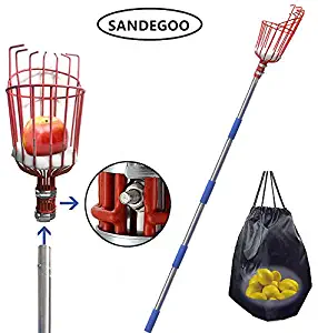 SANDEGOO Fruit Picker Tool, 8-Foot Fruit Picker with Light-Weight Aluminum Telescoping Pole, Fruit Picking Equipment for Getting Apple Oranges and Fruits Tree (8 TF)