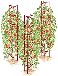 Gardener's Supply Company Red Tomato Ladders, Heavy Gauge, Set of 3