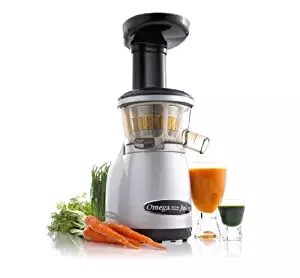 Omega VRT330 Dual-Stage Vertical Single-Auger Low-Speed Juicer