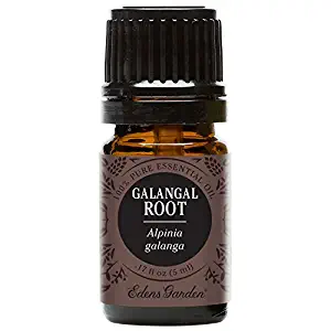 Edens Garden Galangal Root Essential Oil, 100% Pure Therapeutic Grade (Highest Quality Aromatherapy Oils- Cold Flu & Sleep), 5 ml