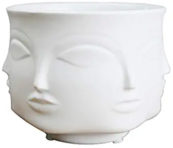 Poitemsic Personality White Ceramic Small Succulent Cactus Face Planter Head Face Flowers Plant Pots Vase