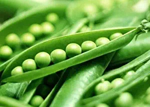 OSD-Green Pea Seeds, Super Sugar Snap, Non-GMO, Heirloom Peas,Fall Or Spring, 75ct
