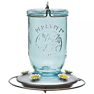 Perky-Pet 785 Mason Jar Hummingbird Feeder